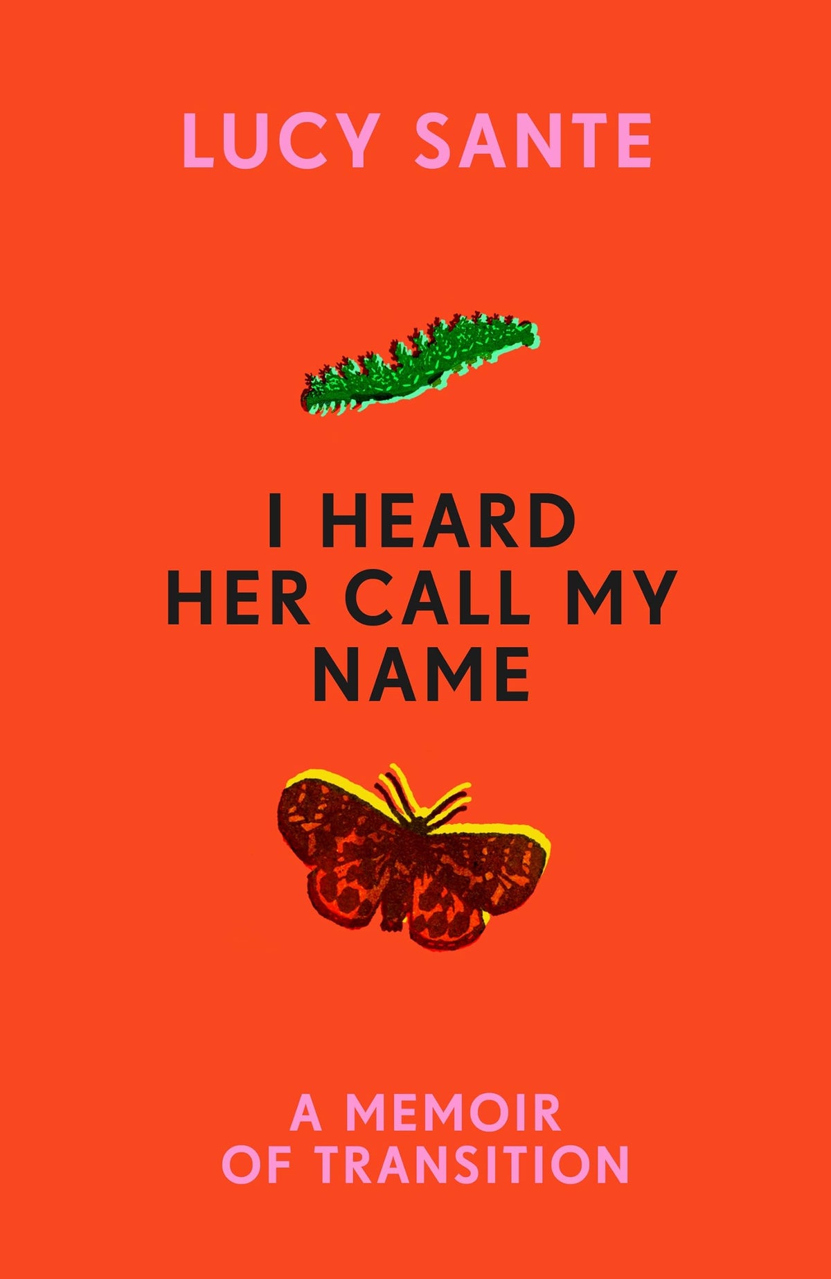 I Heard Her Call My Name : A memoir of transition